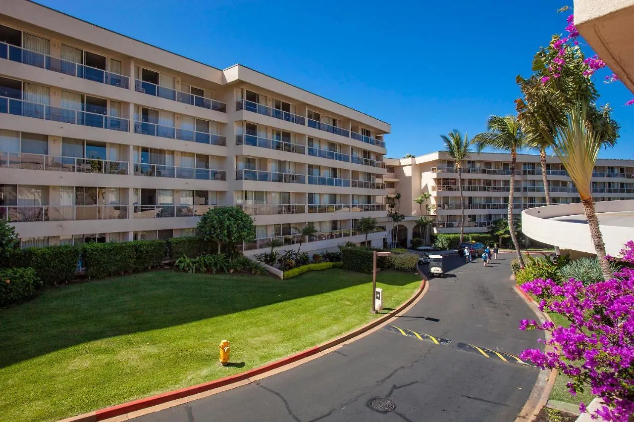 Maui Banyan H311 1Bd 2Ba 3 Min Walk To The Beach In The Heart Of South Kihei! Wailea  Apartmán Wailea (Maui)