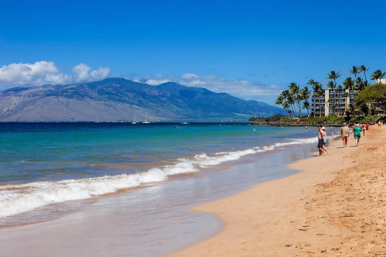Apartmán Maui Banyan H311 1Bd 2Ba 3 Min Walk To The Beach In The Heart Of South Kihei! Wailea  USA